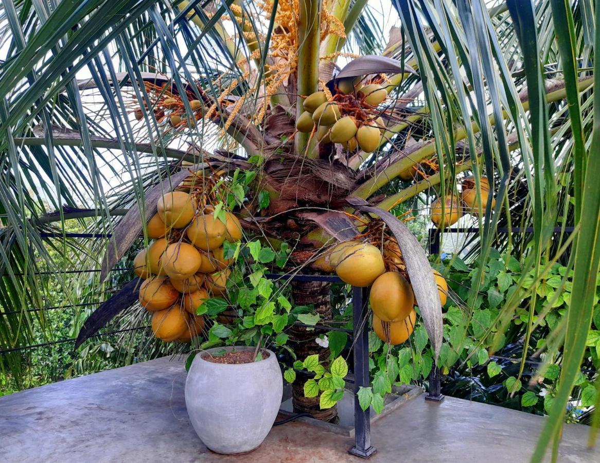 Weligama Bay Watsila Resort Zewnętrze zdjęcie